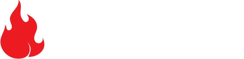 しらすごはん